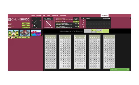 OnlineBingo aperçu