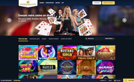 Viggoslots aperçu