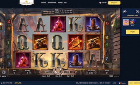 Viggoslots aperçu