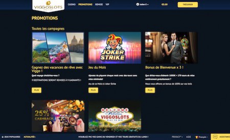 Viggoslots aperçu