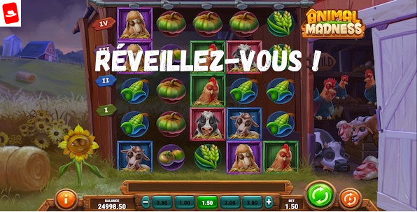 Animal Madness : nouvelle slot Play'n GO sur des animaux de ferme déjantés