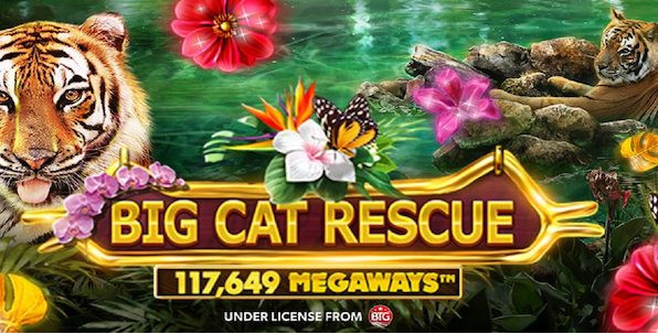 Red Tiger lance Big Cat Rescue Megaways, machine à sous qui vient en aide aux grands fauves