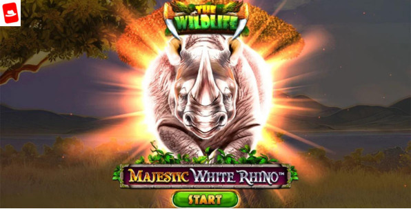 Majestic White Rhino : partez dans les contrées sauvages africaines avec la nouvelle slot Spinomenal