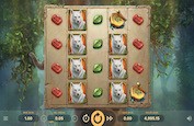 Druid's Dream Slot : Wilds, respins et free spins à volonté