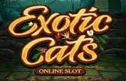 Exotic Cats, la nouvelle slot Microgaming et ses gros matous tropicaux