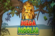 Le dernier jackpot de 7.9€ millions de Mega Moolah vient d'un joueur mobile