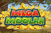 Le jackpot Mega Moolah pourrait tomber à tout moment ! Plus de 11€ millions à gagner