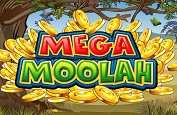Le dernier jackpot de Mega Moolah a été remporté sur mobile et valait 6€ millions