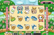 Puurfect Pets, le nouveau jeu de casino tout mignon de RTG