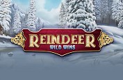 Reindeer Wild Wins - le nouveau jeu proposé par le fournisseur Genesis Gaming