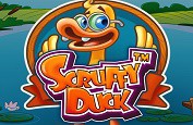 Deux machines à sous Netent avec exclusivité temporaire - Scruffy Duck et Joker Pro