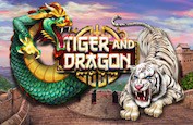 Tiger and Dragon : la machine à sous Red Rake avec sa structure originale et ses deux barres BONUS