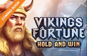 Vikings Fortune, la nouvelle machine à sous Playson sortie un peu en avance