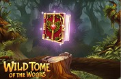 Wild Tome of the Woods, la nouvelle aventure Quickspin en machine à sous