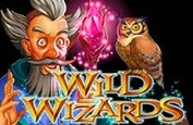 Un vent de magie souffle avec le nouveau jeu de RTG: Wild Wizards